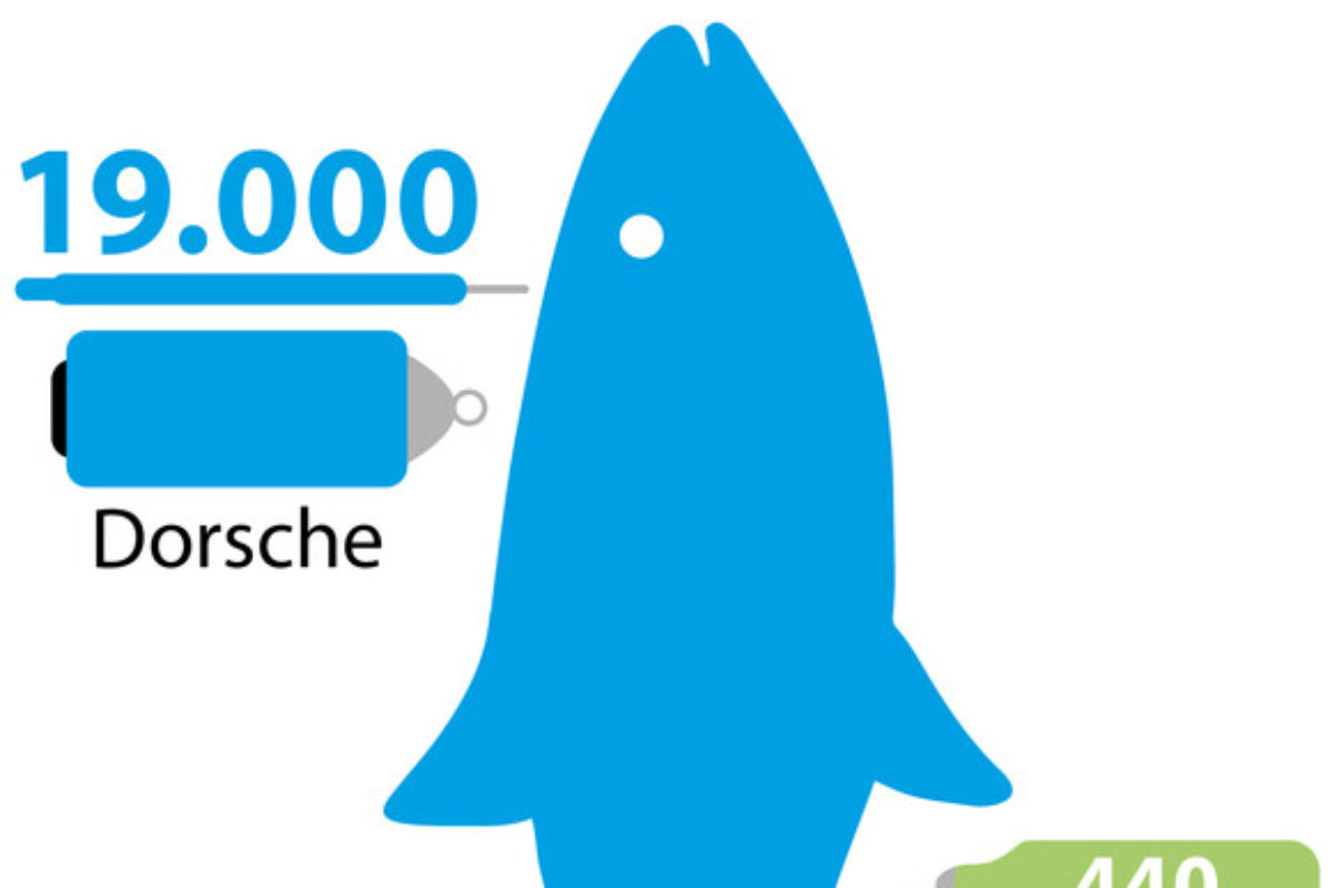 Fischtracking
