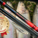 Salmo Sbiropeitsche vor Forellen