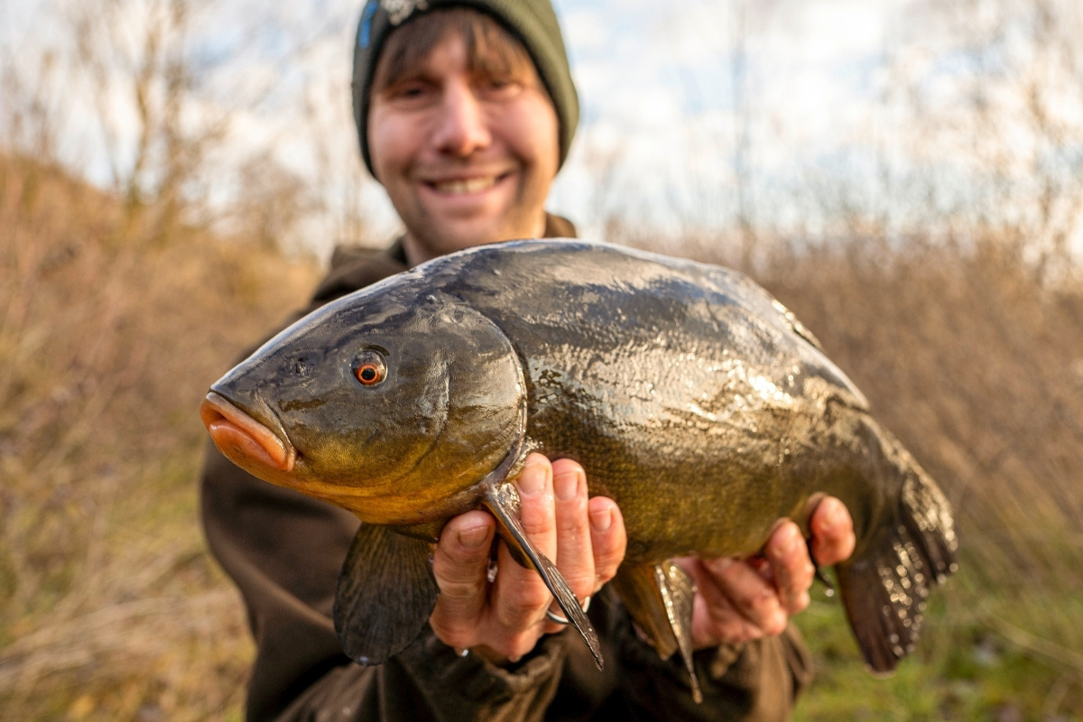 Angler mit Schleie