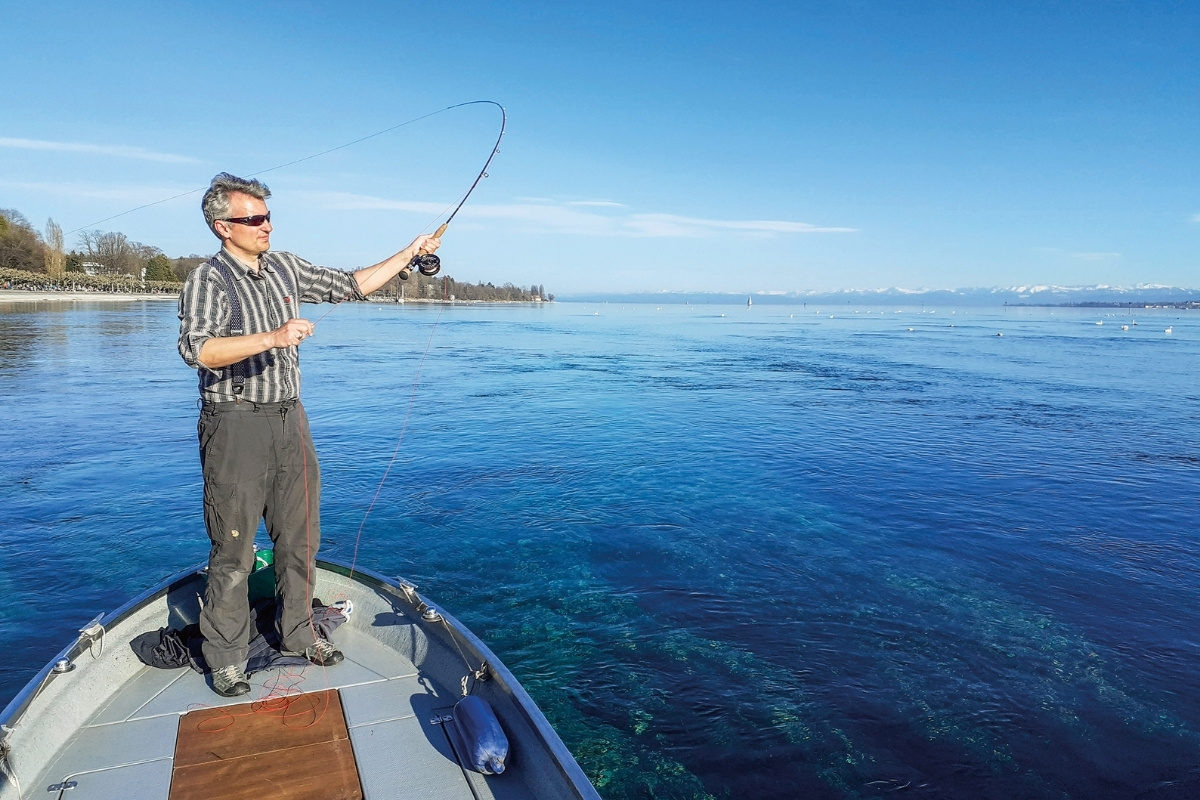 Fliegenfischen auf Seeforelle im Bodensee