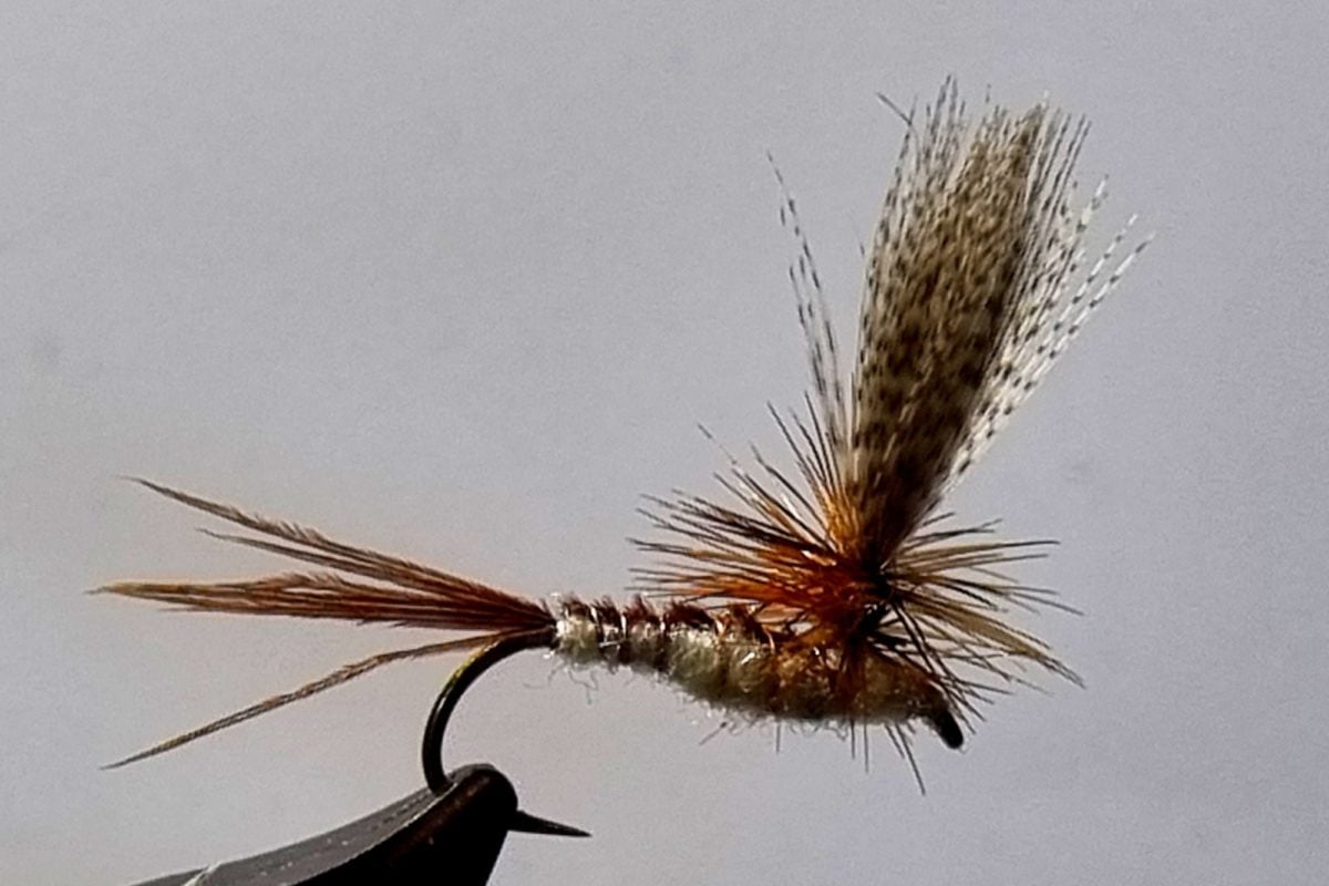 Maifliege Parachute