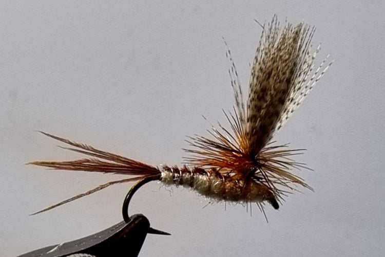 Maifliege Parachute