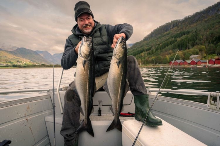 Angler mit zwei großen Seelachsen in einem norwegischen Fjord