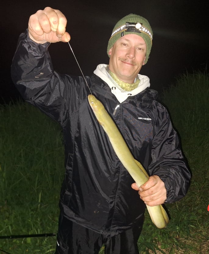 Aal Nachtangeln Vorzeiger Dunkelheit Nacht