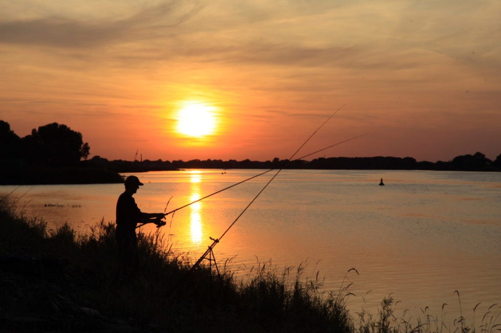 Aalangler an der Elbe im Sonnenuntergang