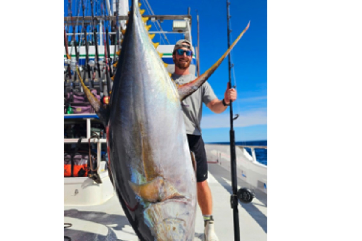Yellowfin