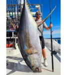 Yellowfin