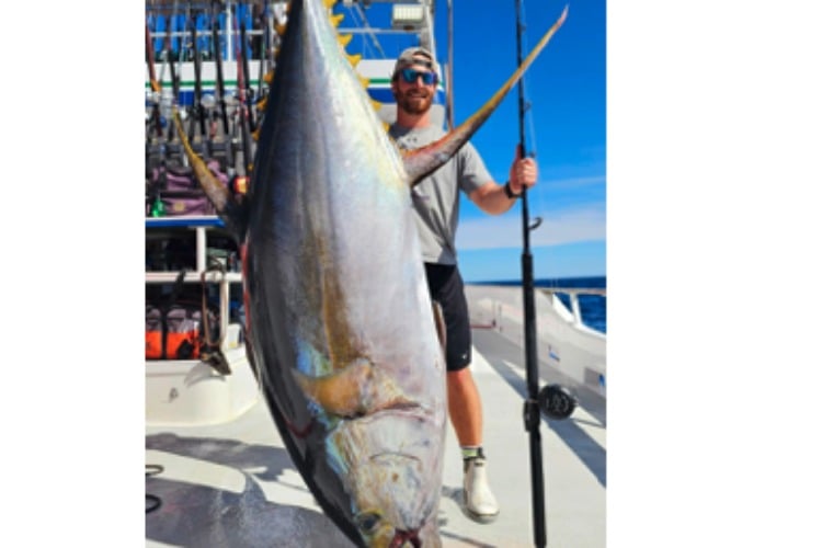 Yellowfin