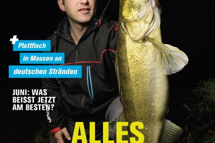 Blinker 06/2025: Alles auf Zander!