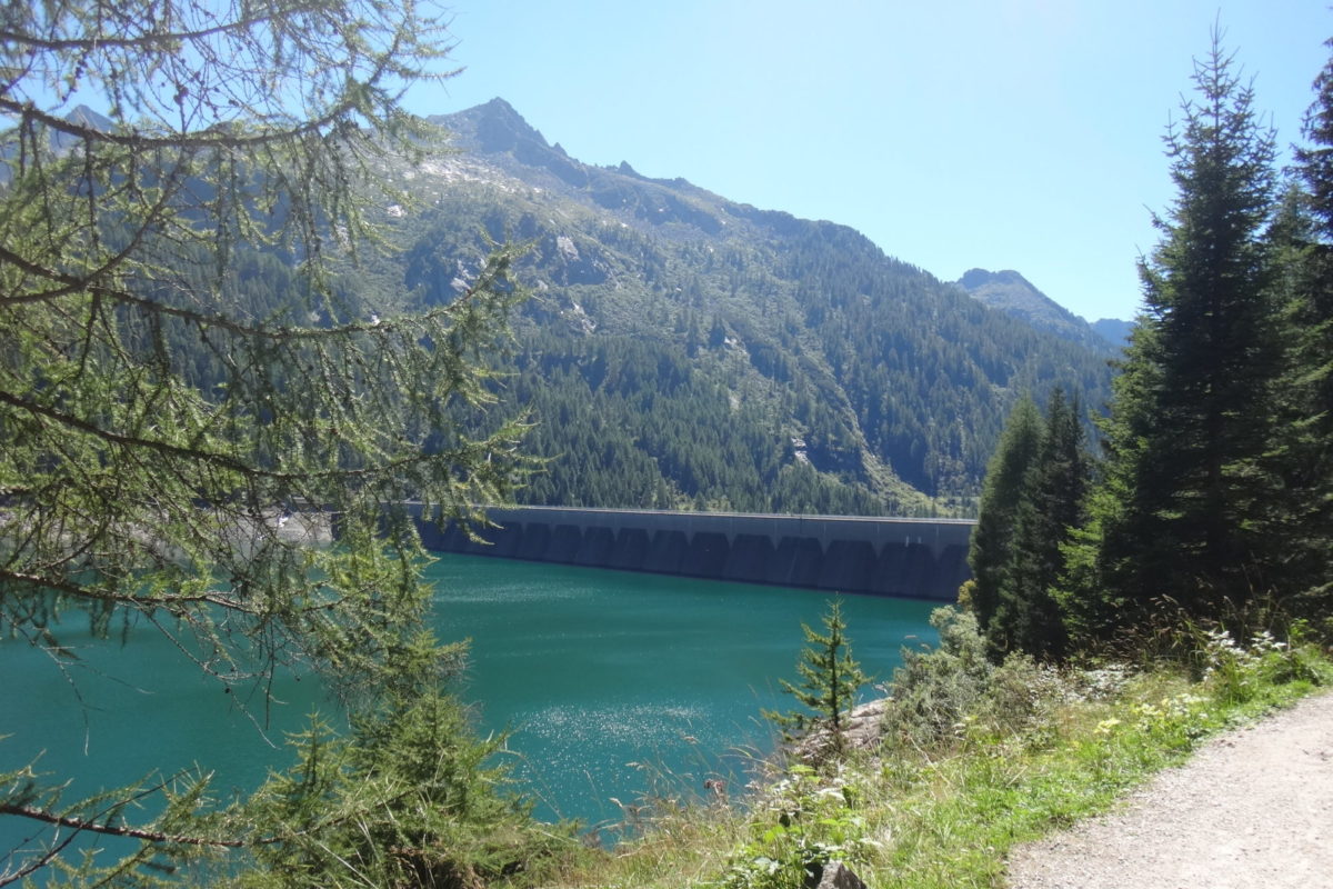 Wasserkraft