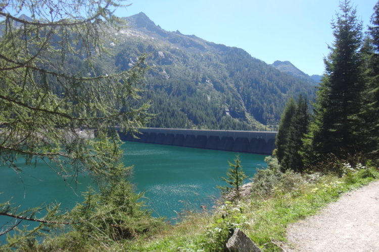 Wasserkraft