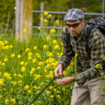 Pirschangeln im Juni