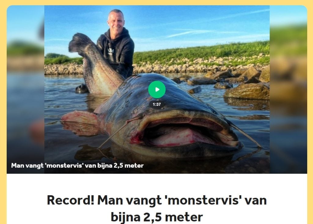 Rekordwels NL