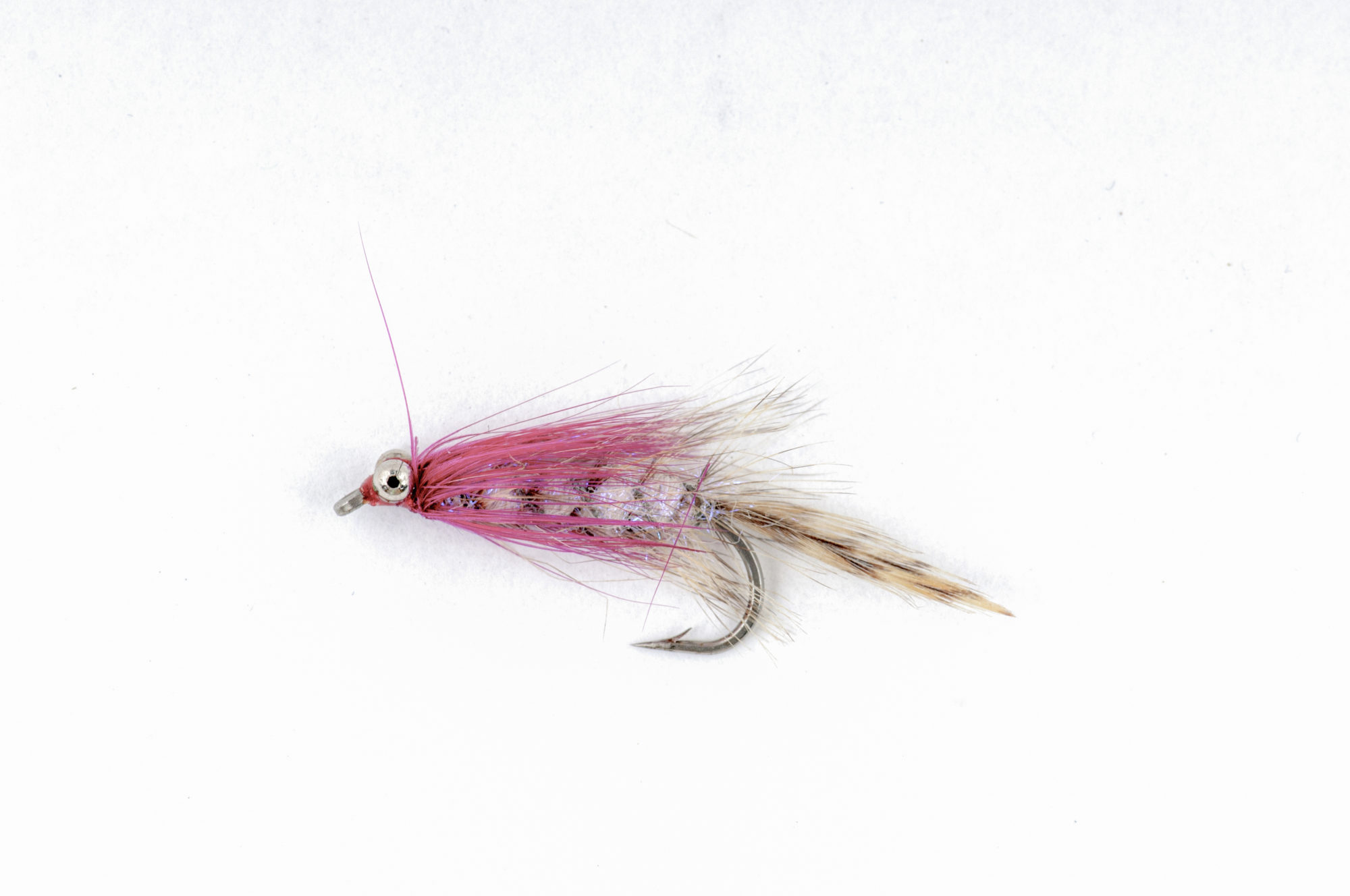 Polar Magnus Streamer