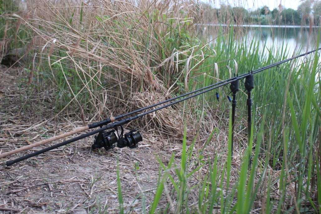 Karpfenruten auf Banksticks