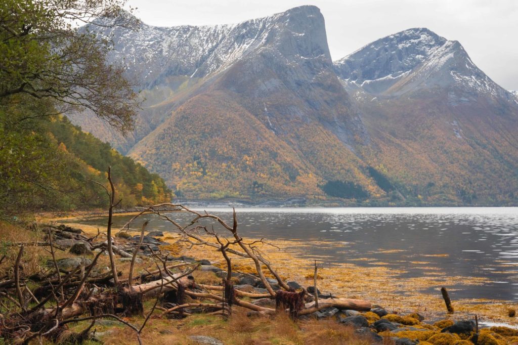 Norwegischer Fjord