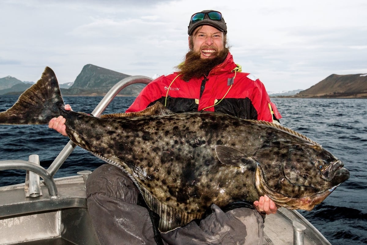 Angler mit Heilbutt: Die Wahl der Angelausrüstung für Norwegen war richtig