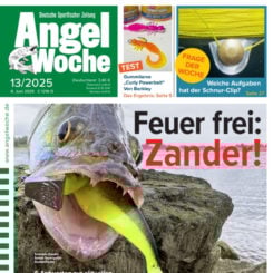 AngelWoche