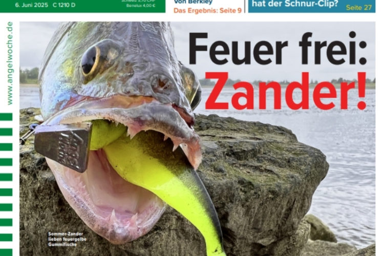 Cover der Angelwoche 13/2025: Feuer frei: Zander!