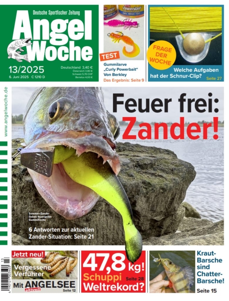 Cover der Angelwoche 13/2025: Feuer frei: Zander!