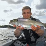 Maifisch