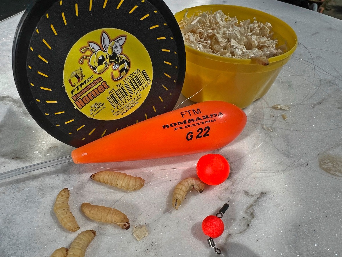 Bienenmaden Sbirolino