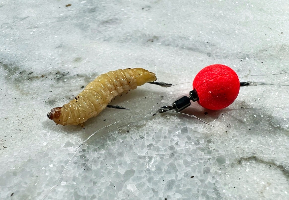 Bienenmade Pilotkugel