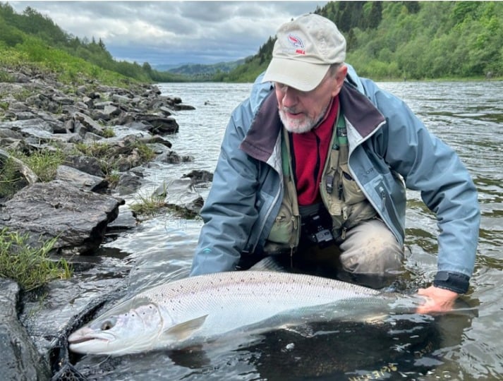 Atlantischer Lachs
