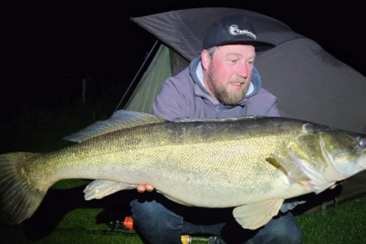 Meter Zander