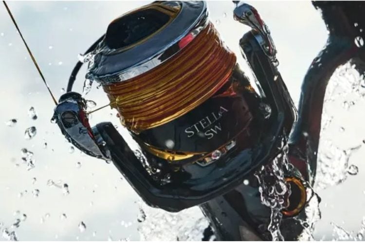 2025 Stella SW