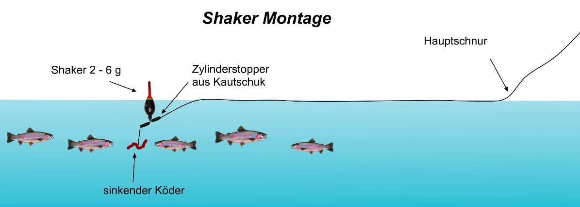 Oberfläche Forellen