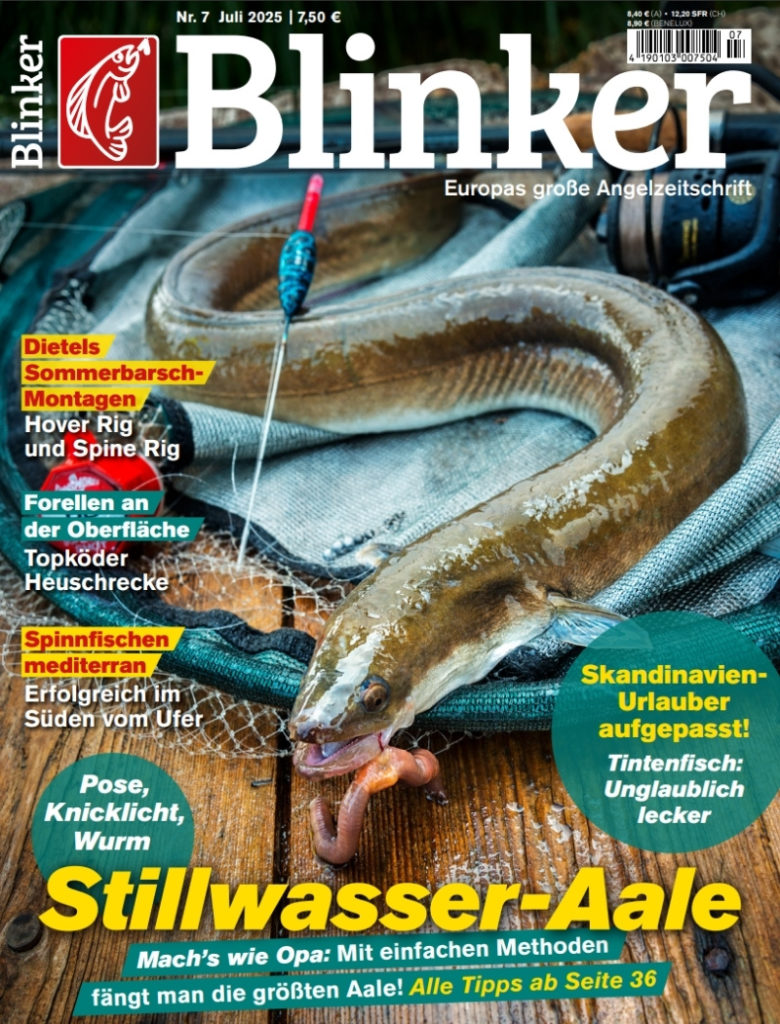 Blinker 07/2025: Stillwasser-Aale
