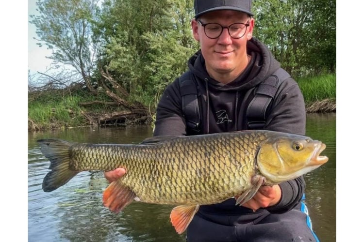 Angler mit kapitalem Döbel