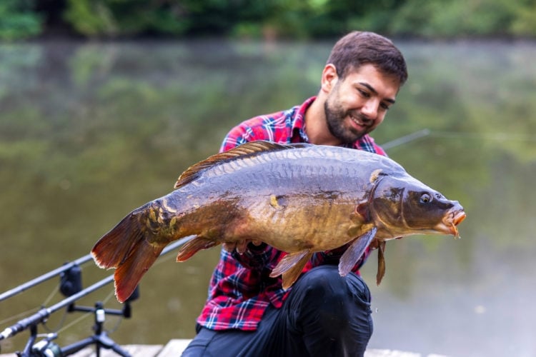 Angler mit Karpfen beim Karpfenangeln im Frankreichurlaub gefangen