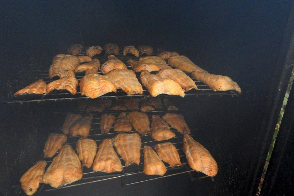 Katzenwelsfilets werden geräuchert