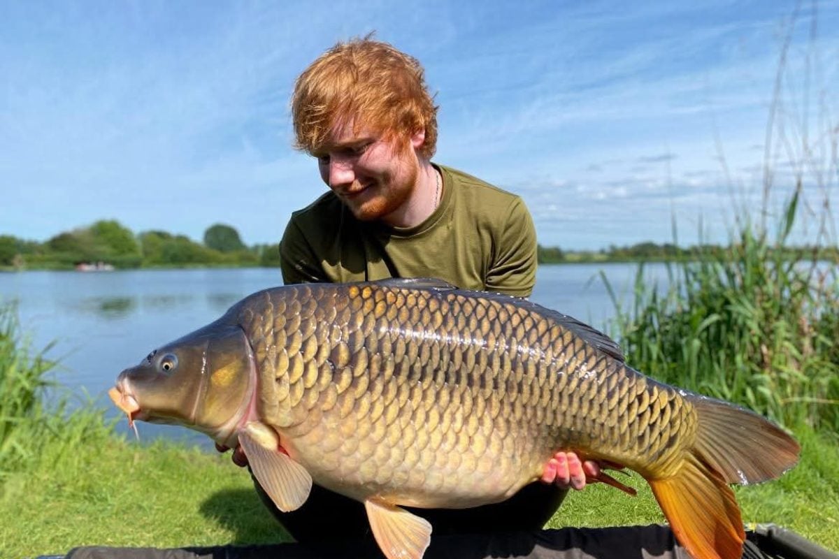 Ed Sheeran angelt großen Karpfen