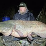 Wels über 200 cm Vorzeiger