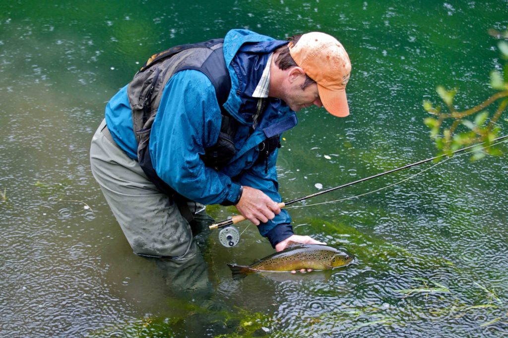 Angler im Wasser mit Bachforelle