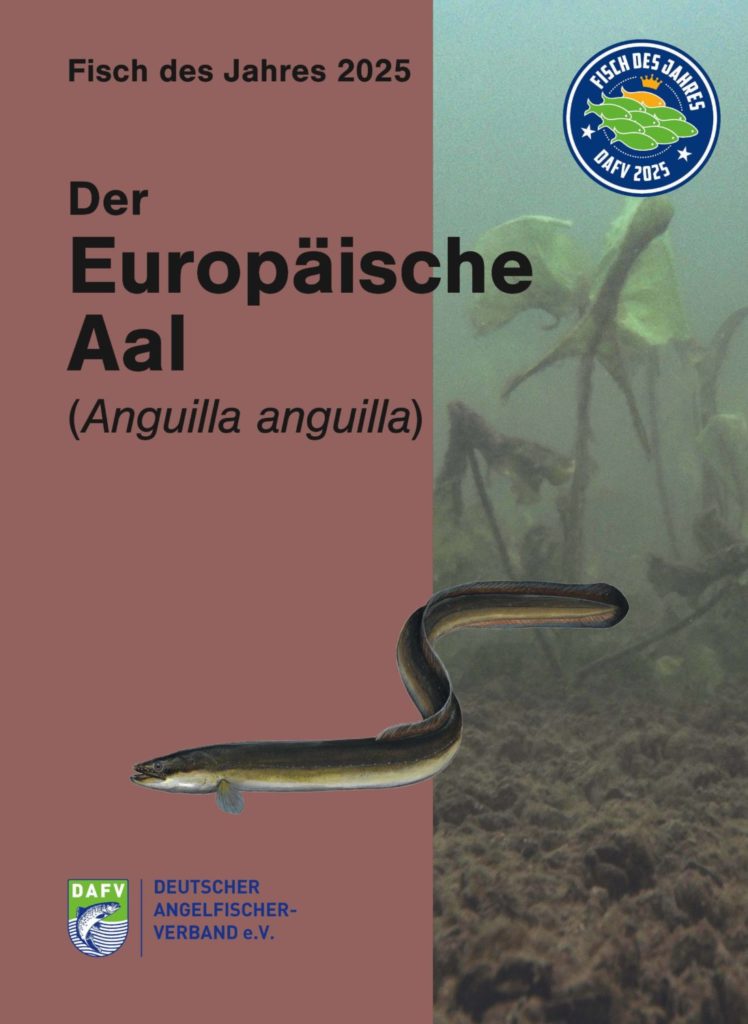 Fisch des Jahres 2025