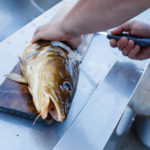 Norwegen Angler filetieren Angeltourismus Filet