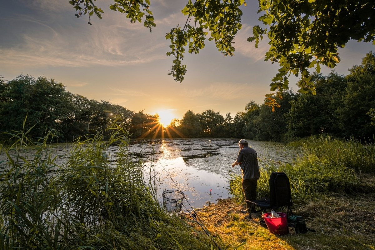 Angler an einem verkrauteten See