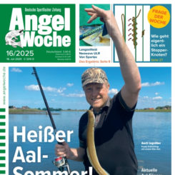 AngelWoche