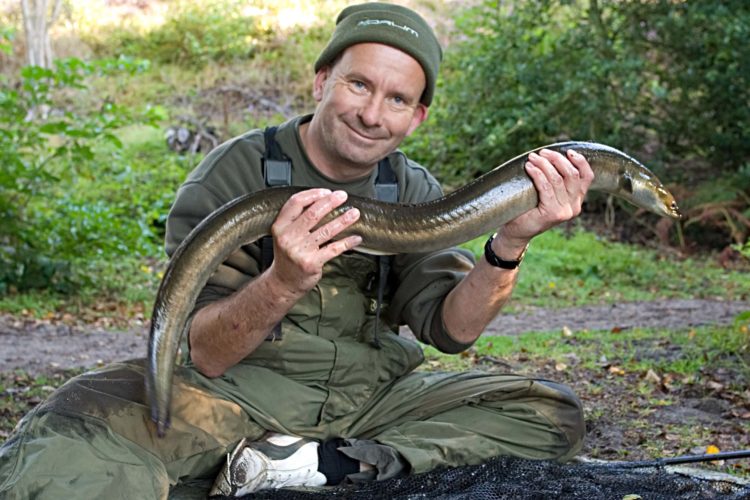 Angler mit großem Aal