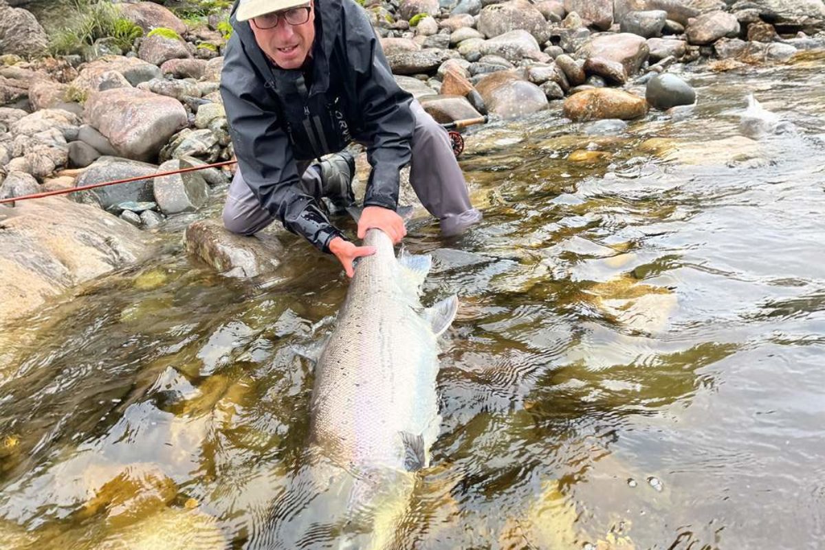 Lachsbestand - Lachs Norwegen