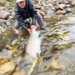 Lachsbestand - Lachs Norwegen