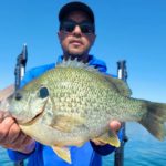 Angler mit Sonnenbarsch