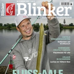 BLINKER