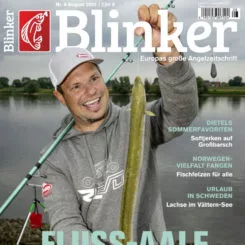 BLINKER
