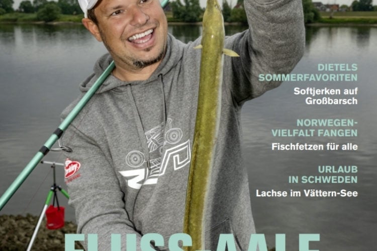 Blinker 08/2025: Fluss-Aale