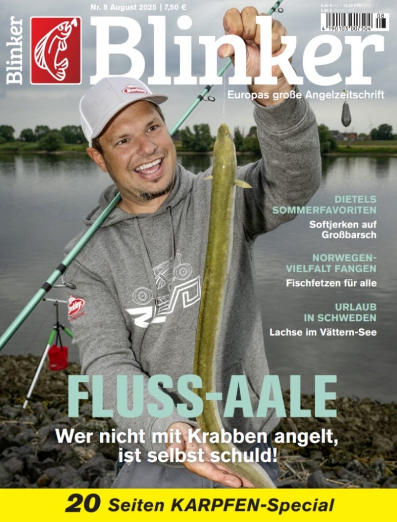 Blinker 08/2025: Fluss-Aale